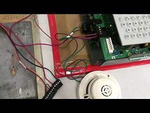 Auto program NFS2-3030