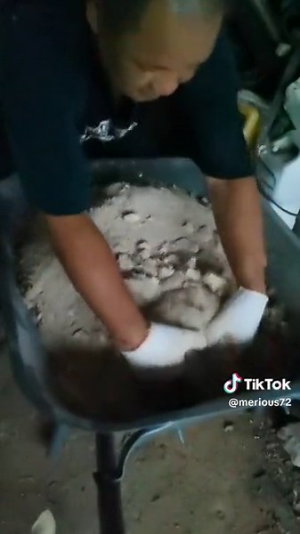 merious72 (@merious72)’s videos with bunyi asal - merious72