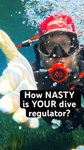 How to clean your scuba regulator properly 🤿🤮💦 #gross #scubadiving #scubagear