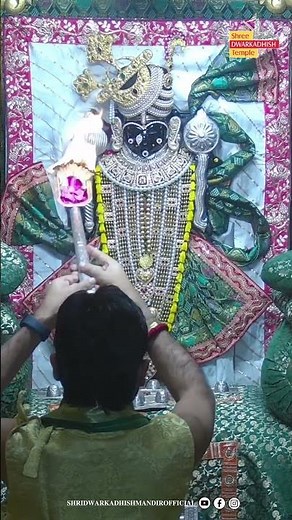 राजाधिराज द्वारकाधीश जी के शयन आरती दर्शन🙏 #sayanaarti #ShridwarikadhishmandirOfficial