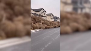 Video of the Day: Tumbleweed takeover