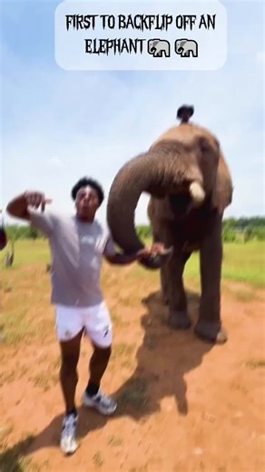first to backflip of an elephant 🐘#ishowspeed #africa @IShowSpeed