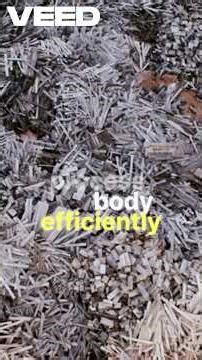 Red Blood Cells Live About Four Months—and Your Body Recycles Their Iron.