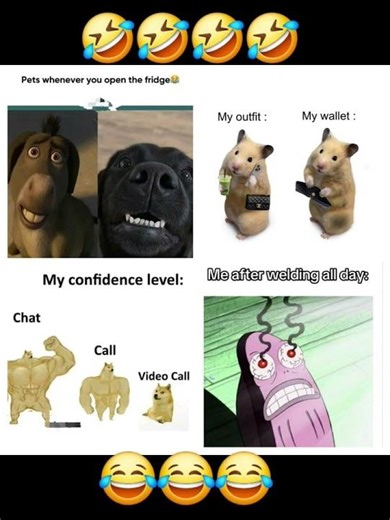 IMPOSSIBLE 🤣🤣 #music #funny #memes #trendimgshort #memepage #memesdaily