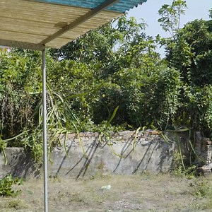 10K views · 268 reactions | Elderly Woman Needs Help - We Surprised Her - Part 2 #abandoned #lawn #cleanup #cleaningmotivation #clean #overgrown #transformation | CleanUp Crew | Facebook