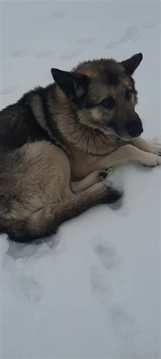 Я не твоя Надежда (@user2805090881226)’s videos with Supermassive Black Hole (Twilight Soundtrack Version) - Muse