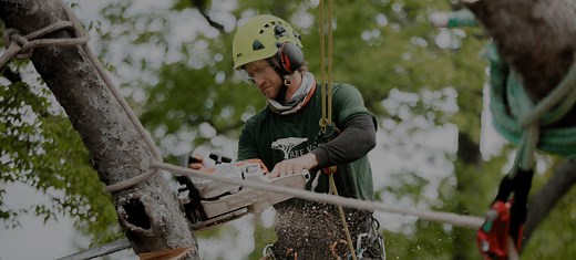 Emergency Tree Services » Tree Worx Arbor Services Chattanooga, TN