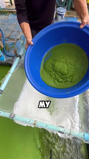 My husband asked for a paternity test,and I freaking hate him for it, and wishI hadn't had a baby with him.#askreddit#LearnOnTikTok#reddit