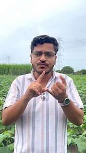 अमावस्या नंतर कापूस पिकाला हि फवारणी कराच l Aamavshya nanatr kapus pikala hi favarani karach ☑पिकाचे शेड्यूल (वेळापत्रक) मिळविण्यासाठी खालील नंबरवर whatsapp मार्फत संदेश पाठवा : मोबाईल : 7507775355 ☑केळी, पेरू, कलिंगड-खरबूज, मिरची व पपई रोपे बूक करण्यासाठी संपर्क कराल. : मोबाईल : 8080677492 #agri #traveltips #viralchallenge #agriculture #indian #india #OrganicFarming #pune #labsofinstagram #inspire #instapic #instafit #inspo #instagramreels #likesforlike #liketime #natureshots #tranding #trans #