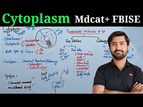Understanding Cytoplasm: Composition and Functions | Class 11 Biology | MDCAT Preparation