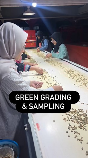 16K views · 80 reactions | Kreatif banget… pengambilan sample secara random yang merepresentasi keseluruhan lot. @wildanmustofa.frinsa | Awi Coffee | Facebook