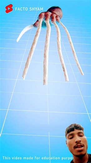 gamtng #Youtubevideo #Child'#KidsEntertainment#gamtng