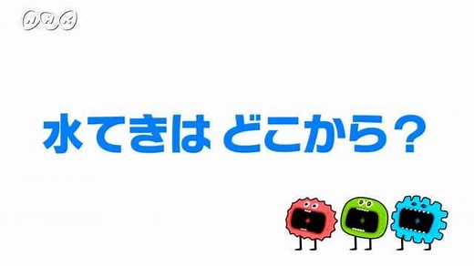 水てきはどこから？ | ふしぎエンドレス　理科４年 | NHK for School