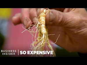 Why Wild Ginseng Is So Expensive | So Expensive | Business Insider