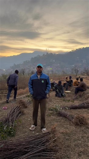 Through today’s video, SAANVI FRUIT PLANT NURSERY is highlighting the preparation of premium-quality M-9 rootstock. We focus on producing healthy, strong, and disease-free rootstock using proper nursery practices and field experience. Our aim is to provide farmers and orchardists with a strong foundation for successful and profitable orchards. A healthy rootstock is the backbone of a healthy orchard—and quality M-9 rootstock makes all the difference. #SaanviFruitPlantNursery #HealthyRootstock #M
