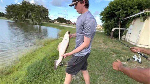 This might be the rarest fish hiding in the pond