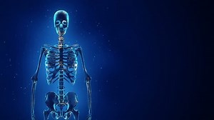 Abstract Background Animation Rotation Realistic Human Stock Footage Video (100% Royalty-free) 15065782 | Shutterstock