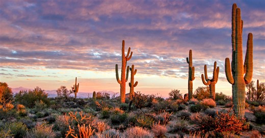 10 biggest reasons so many retirees say they regret moving to Arizona