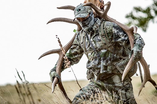 Every State That Offers Over-the-Counter Elk Tags