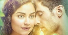 SIN TU MIRADA - Telenovela en Español