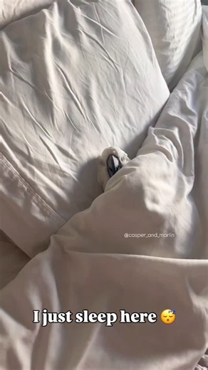 Casper and Marlin on Instagram: "Good morning every birdy 🤗"