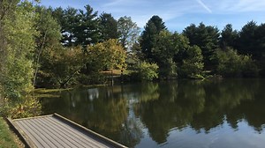 Leaves are still green: The best time to see Fall foliage in central Ohio