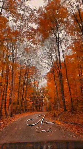 📌 Details in caption — scroll down! 📍 Autumn Diaries — Adirondack Mountains, New York 🍁🏞️ 🚗 About 4–5 hours from NYC, the drive into the Adirondacks is a journey through winding roads, mountain peaks, and valleys lit up in fiery fall colors. 🌄 The Adirondacks in autumn feel like stepping into a painting — crimson maples, golden birches, and endless rolling forests stretching to the horizon. 📸 Perfect for: scenic overlooks, lake reflections, cozy cabins, waterfalls, and peaceful forest tra