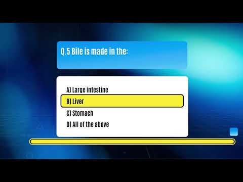 Digestive System Quiz