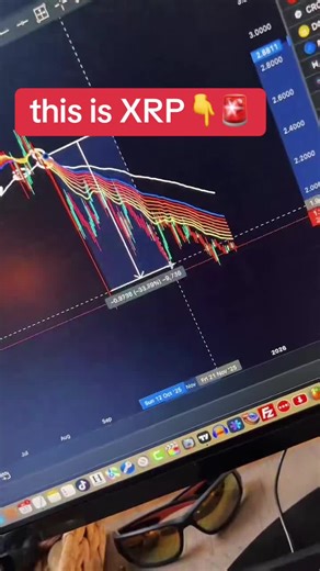 XRP News Update: Latest Developments and Future Insights