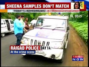 Sheena's DNA Samples Unmatched | Sheena Murder Case