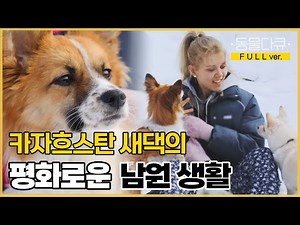 [풀버전] 카자흐스탄에서 날아온 남원 새댁 알료나! 푸피, 엄지와 함께 평화로운 남원 생활 💛 | 동물극장 단짝 EP49 | KBS 230204 방송