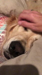 45K views · 4K reactions | Our Golden Chainsaw & Snuggle Machine! #MississippiGoldenGurls #MississippiGoldenGirls #ChainsawRemi #SawingLogs | Mississippi Golden Gurls | Facebook