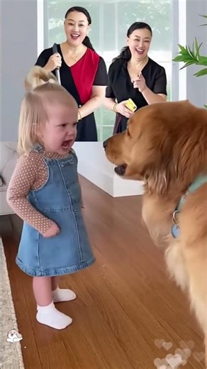 Baby playing with dog is so funny!!😂 赤ちゃんとワンちゃんの小さなバトル 😂 可愛すぎ！💥💞