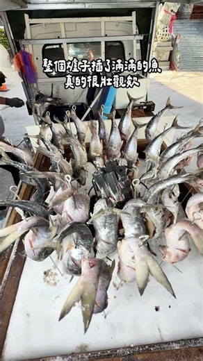 Finally visited this super popular mobile grilled fish spot! I could smell that amazing aroma fro...