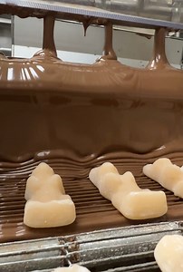 Perfect orange bunnies 😳 | Hercules Candy Co