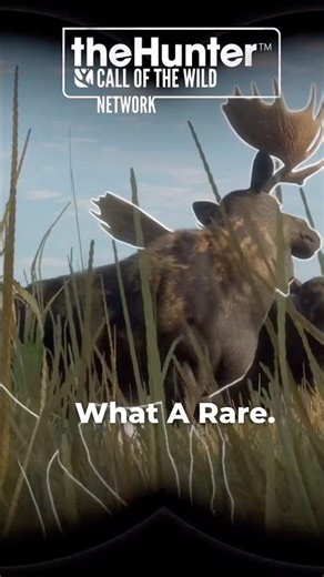 Early Access: .500 Overkill? Yeah… 💀 The Hunter: Call of the Wild #cotw #earlyaccess #thehunter