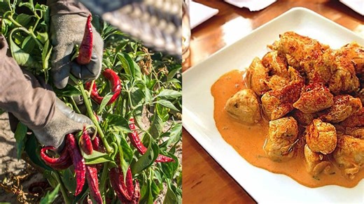 Seis recetas fáciles con Pimentón de La Vera que cambiarán tu semana en un minuto