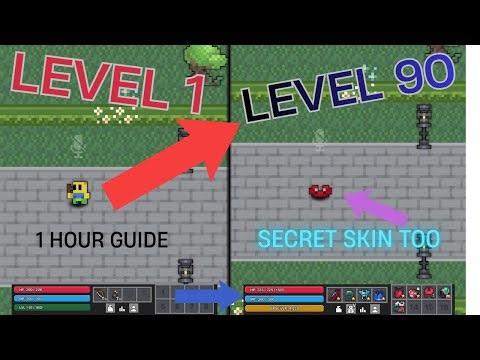 PIXEL QUEST NEW EXP GUIDE/SECRET SKIN GUIDE!!! (Patched)