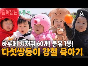 6500만분의 1 확률, 다섯 쌍둥이가 태어났다! 기적같은 오둥이 출산과 끝나지 않는 육아 전쟁👶🏻👶🏻👶🏻👶🏻👶🏻 #금쪽같은오둥이 #다섯쌍둥이 #오둥이