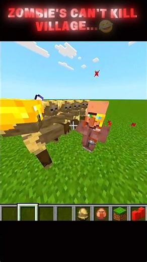 Minecraft Border Block 🚫 🙄 #minecraft