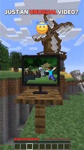Minecraft Photo Shoot