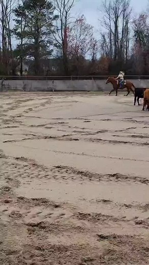 Alyssa Capps (@alyssa.capps)’s videos with original sound - Brett Loveland