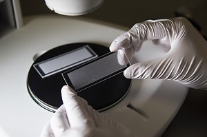 Exosome Separation Using Microfluidics- An Overview - uFluidix