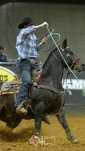 Clay Smith & Nicky Northcott blast one in 5.77 seconds in round 1 of the Vegas Pre Game Open Roping! Tune in LIVE at xftr.net/vegas24 to catch the rest of the roping! 🔥 | X Factor Roping
