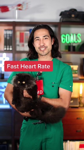 Mike Muellner, MD on TikTok