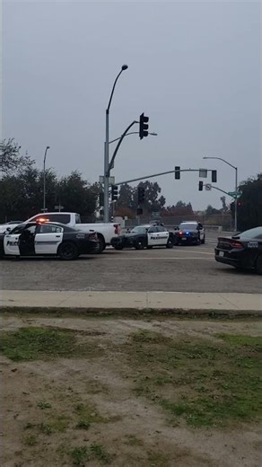 👮🚓 Woop-woop Sound of da Police 🚔 👮‍♀️✌😎🇺🇲