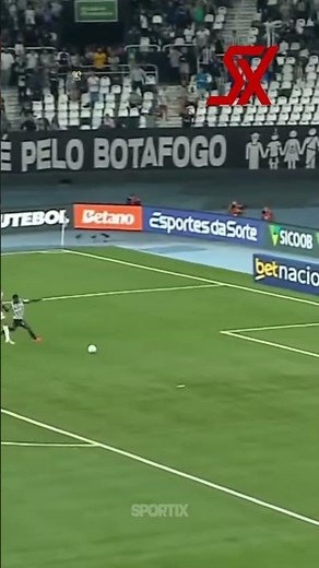 🤯 INCREDIBLE BLUNDER BY BRASÃO! Botafogo 2-1 Santos | Brasileirão