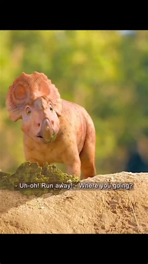 Extinct Era on Instagram: "Pachyrhinosaurus was a large ceratopsian dinosaur that lived around 70 million years ago in what is now North America, including Alaska and Alberta. Reaching up to 6 meters (20 feet) long, it was part of the same family as Triceratops but replaced horns with a thick, bony mass called a nasal boss on its snout. This reinforced structure may have been used in head-to-head combat or for display within herds. Fossil bonebeds show that Pachyrhinosaurus lived and possibly mi