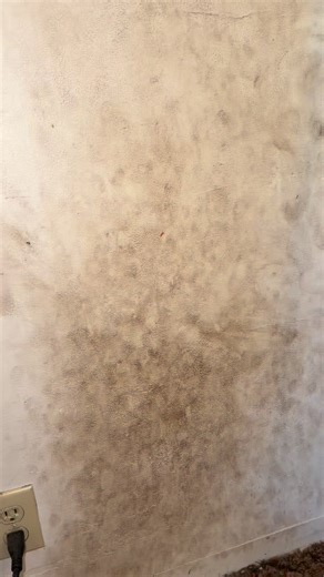 Baseboards, window sills, WALLS 🙌🏾 give me that ZEP foaming wall cleaner! #letsclean #howtocleanwalls #freeclean #wallcleaning #zep | KeeksCleaning