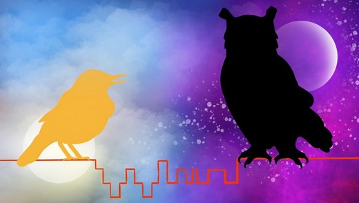 Night owl behavior could hurt mental health, sleep study finds